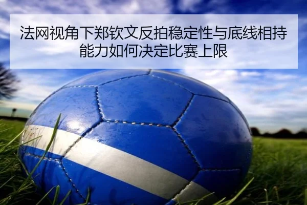 fa-wang-shi-jiao-xia-zheng-qin-wen-fan-pai-wen-ding-xing-yu-di-xian-xiang-chi-neng-li-ru-he-jue-ding-bi-sai-shang-xian-2-678.jpg