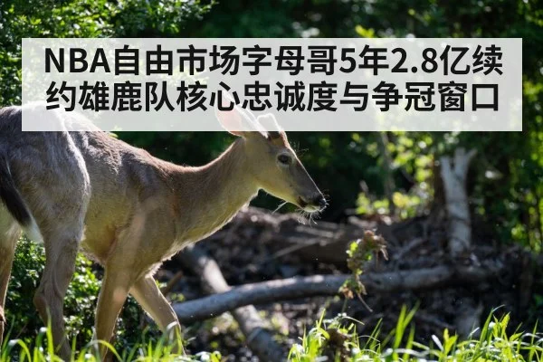 NBA自由市场字母哥5年2.8亿续约雄鹿队核心忠诚度与争冠窗口