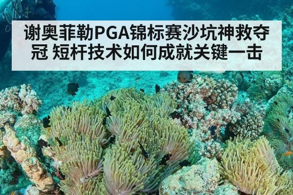 谢奥菲勒PGA锦标赛沙坑神救夺冠 短杆技术如何成就关键一击